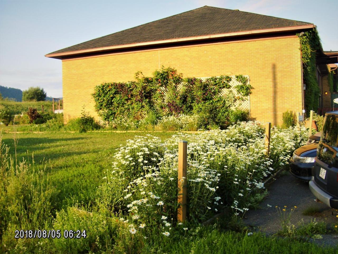 Auberge Internationale La Vieille Ecole Sainte Anne-des-Chênes Exterior foto