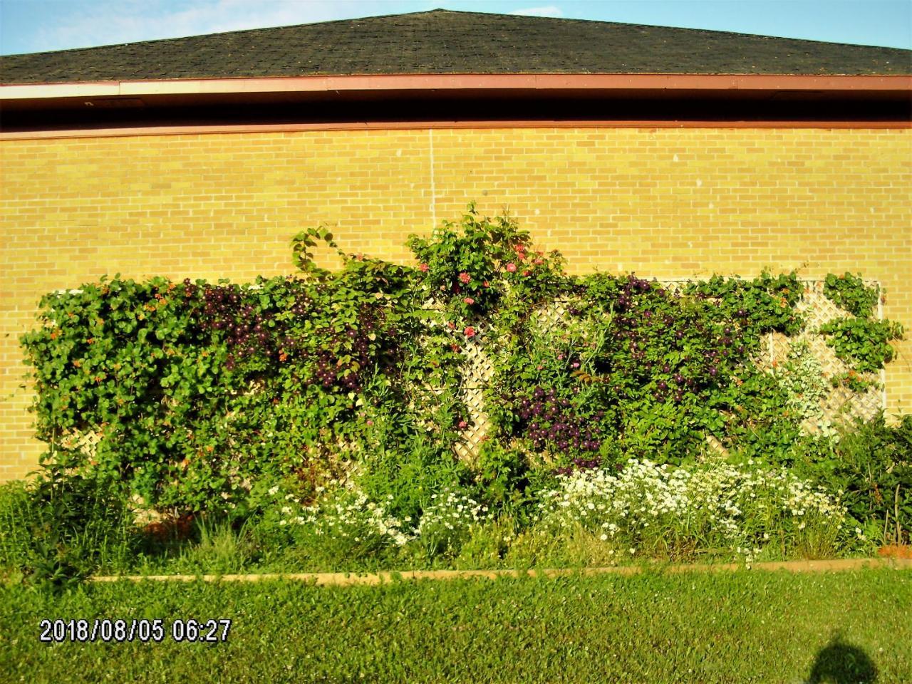 Auberge Internationale La Vieille Ecole Sainte Anne-des-Chênes Exterior foto